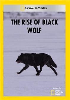 Rise of Black Wolf - (Region 1 Import DVD)
