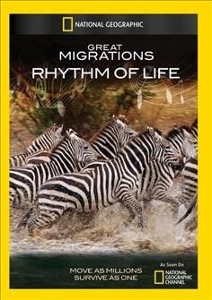 Great Migrations:Rhythm of Life - (Region 1 Import DVD)