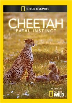 Cheetah Fatal Instinct - (Region 1 Import DVD)