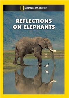 Reflections on Elephants - (Region 1 Import DVD)
