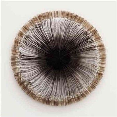 Sol - (Import Vinyl Record)