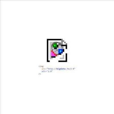 Big Data - 2.0 (Vinyl)