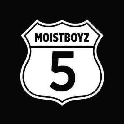 Moistboyz - Moistboyz V (Vinyl)