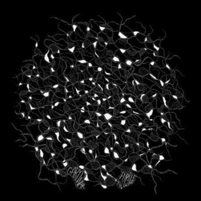 Gary War - Split Lp (Vinyl)