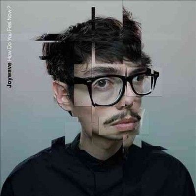 Joywave - How Do You Feel Now (Vinyl)