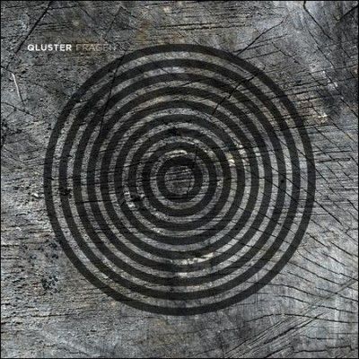 Qluster - Fragen (Vinyl)