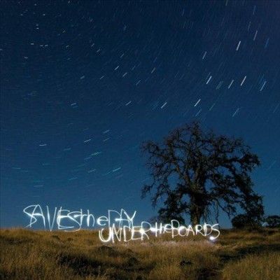 Saves The Day - Under The Boards (Vinyl)