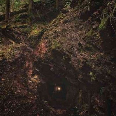 Baptists - Bloodmines (Vinyl)