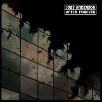 Joey Anderson - After Forever (Vinyl)