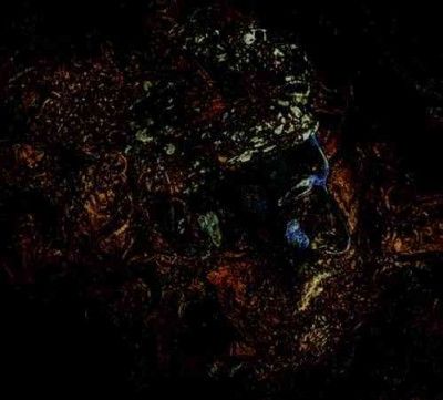 Damian &amp; Th Lazarus - Message From The Other Side (Vinyl)