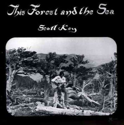 Scott Key - This Forest &amp; The Sea (Vinyl)