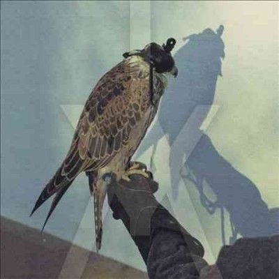 Iceage - You're Nothing (Vinyl)