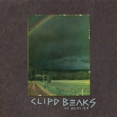 Clipd Beaks - To Realize (Vinyl)