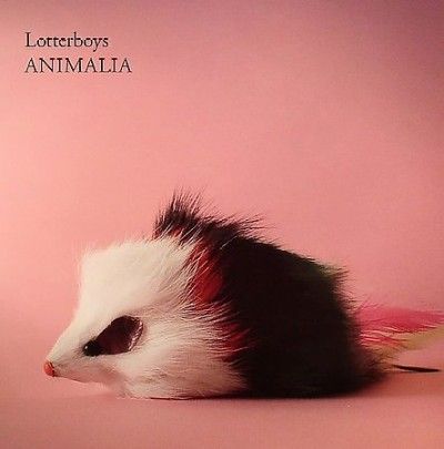 Lotterboys - Animalia (Vinyl)