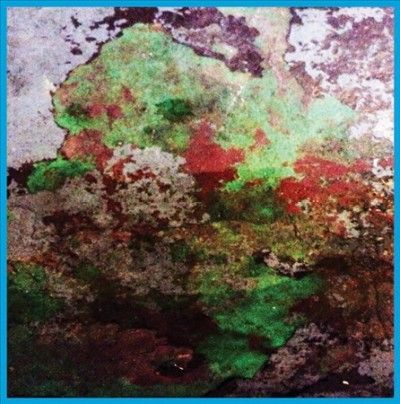 Lst - Th Duo (Vinyl)