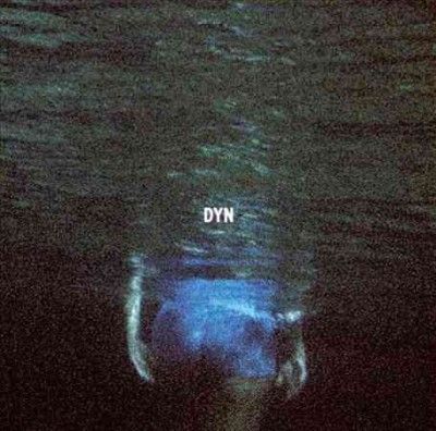 DYN (Vinyl / 12" Album)
