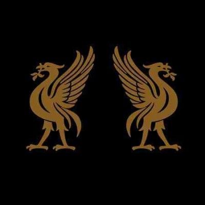 Jon Snodgrass - Liverbirds (Vinyl)