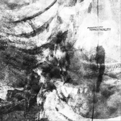Innercity - Terrestreality (Vinyl)
