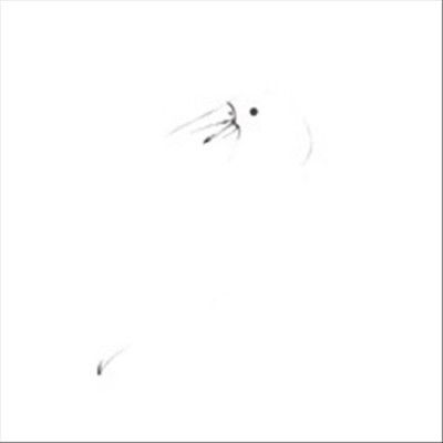 Asmus Tietchens - Asmus Tietchens/kouhei Matsunaga (Vinyl)