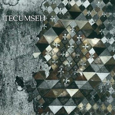 Tecumseh - Avalanche And Inundation (Vinyl)