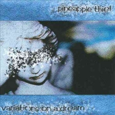 Pineapple Thief - Variations On A Dream (Vinyl)