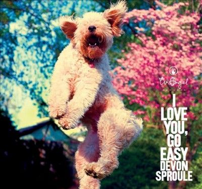Devon Sproule - I Love You Go Easy (Vinyl)