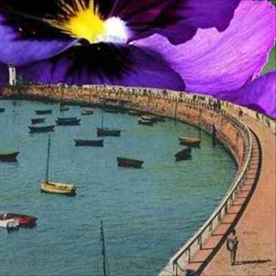 Sleeping States - Old Vs New Ep B/w Through Til The Mor (Vinyl)