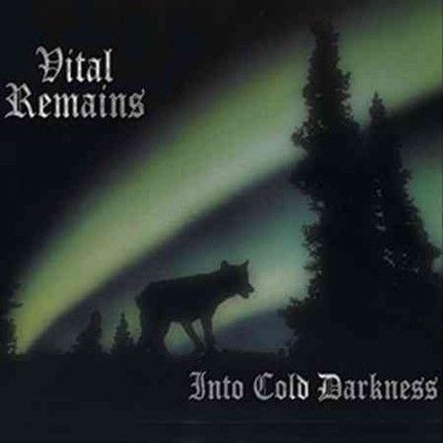 Vital Remains - Into Cold Darkness (Vinyl)