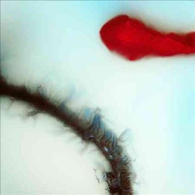 Stubborn Heart - Stubborn Heart (Vinyl)