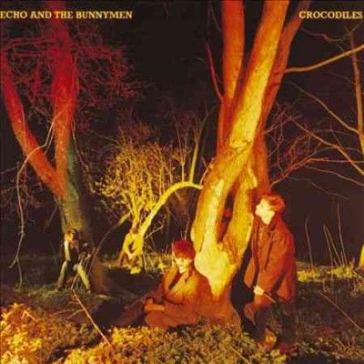 Crocodiles - (Import Vinyl Record)