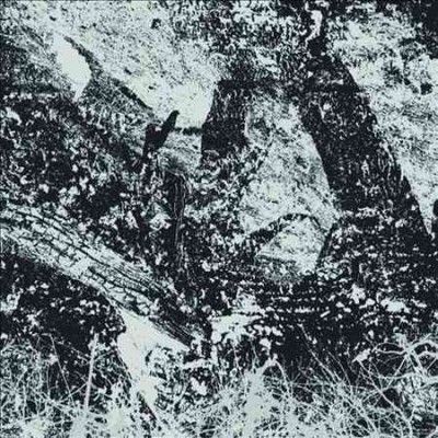 Index For Potential - Newest Youth Rebellion (Vinyl)