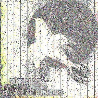 Magnolia Electric Co - What Comes After The Blues (Vinyl)