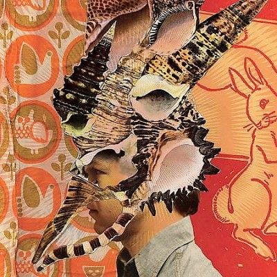 Son Ambulance - Someone Else's Deja Vu (Vinyl)
