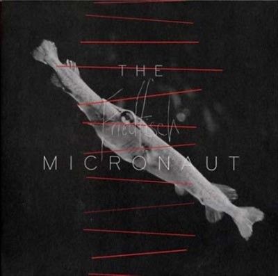 Micronaut - Friedfisch (Vinyl)