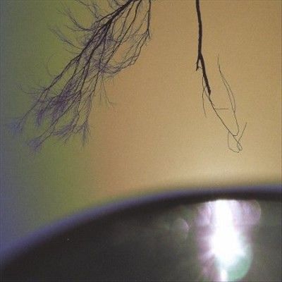 Impressions - Check Out Your Mind (Vinyl)