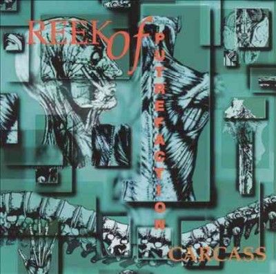 Reek of Putrefaction - (Import Vinyl Record)