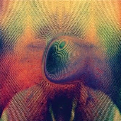 Young Magic - Melt (Vinyl)