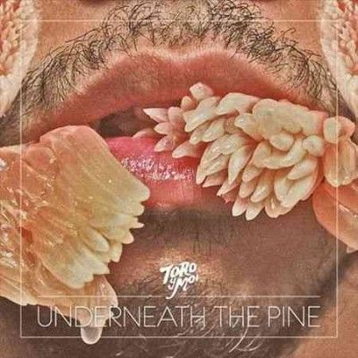 Toro Y Moi - Underneath The Pine (Vinyl)