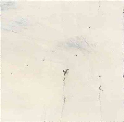 Alternate Moon Cycles - (Import Vinyl Record)