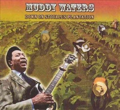 Muddy Waters - Down On Stovall's Plantation (Vinyl)