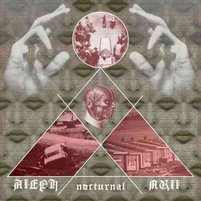 Nocturnal - (Import Vinyl Record)