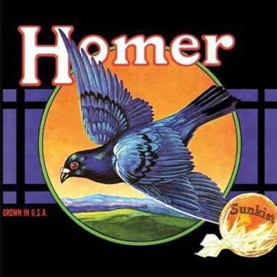 Homer - Grown In Usa (Vinyl)