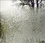 Bon Iver - For Emma Forever Ago (Vinyl)
