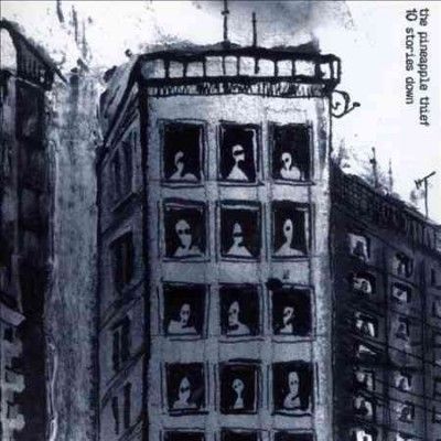 Pineapple Thief - 10 Stories Down (Vinyl)