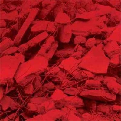 Dream a Garden (Vinyl / 12" Album)