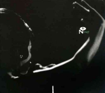 Eccentric Soul:Forte Label - (Import Vinyl Record)