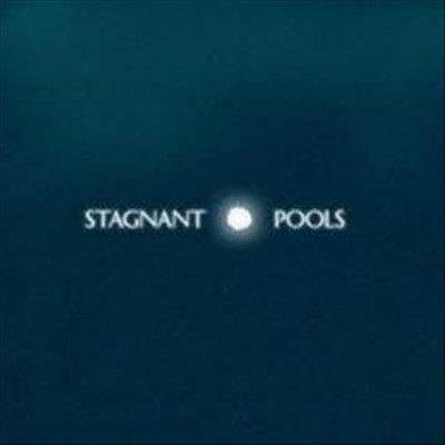 Stagnant Pools - Temporary Room (Vinyl)
