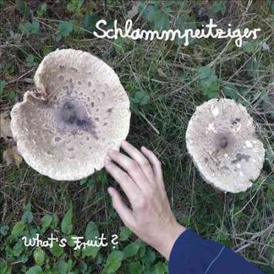 Schlammpeitziger - What's Fruit (Vinyl)