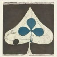 Grizzly Bear - Shields (Vinyl)