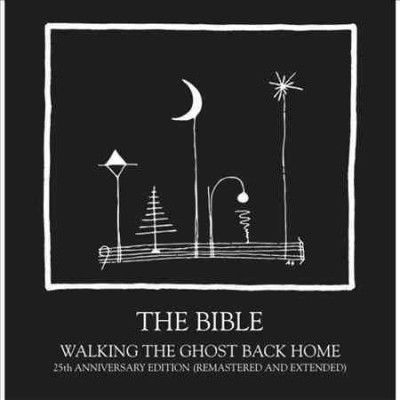 Walking the Ghost Back Home (Vinyl / 12" Album)